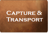 Ranch Consulting Wildlife Management in action - Deer Survey