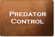 Ranch Consulting Wildlife Management in action - Deer Survey